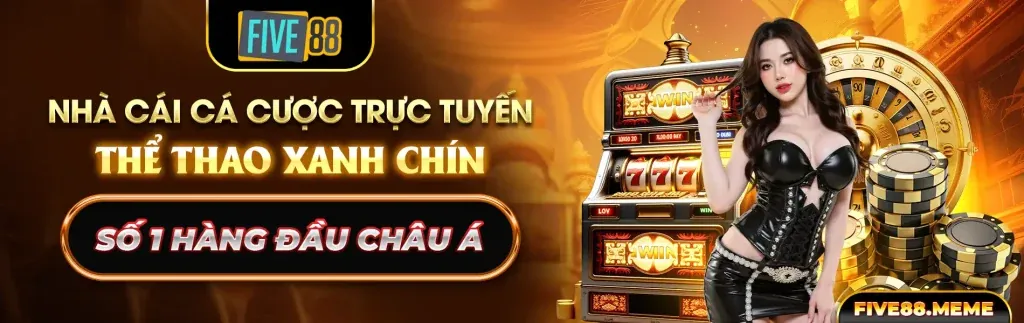 Tổng quan nền tảng okvipau
